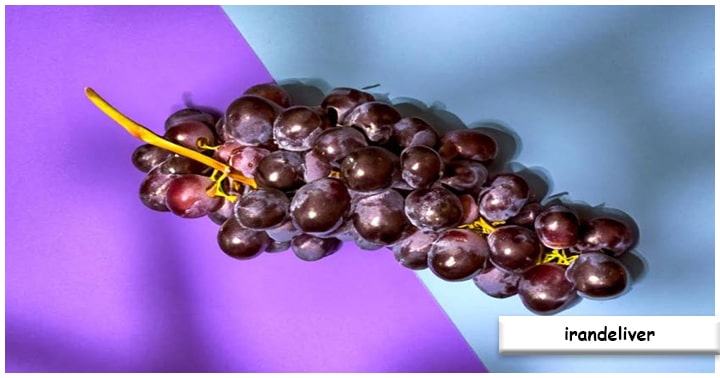 Antioksidan Kuat dari Polyphenols Anggur Vitis Vinifera