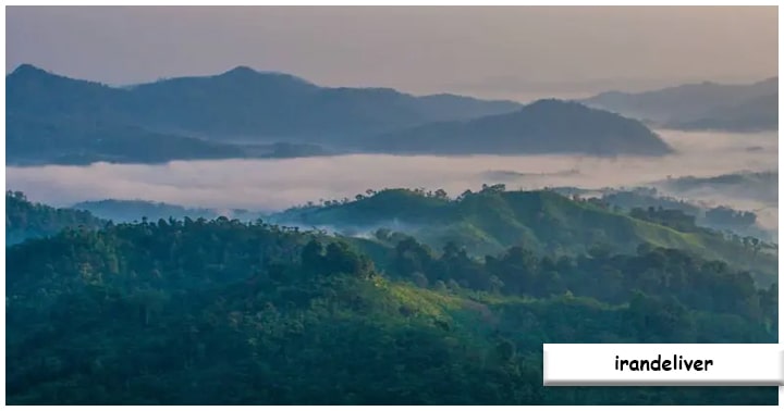 Keanekaragaman Flora dan Fauna di Gunung Kendeng